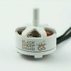 TBS MR STEELE 2345KV SILK