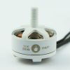 TBS MR STEELE 2345KV SILK